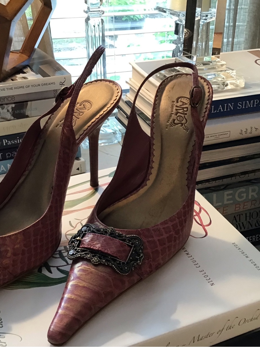 Arles by Carlos Santana Slingback Pointy Toe Heels